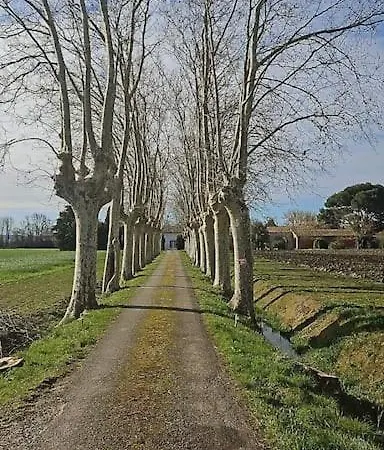 - Canal Du Midi