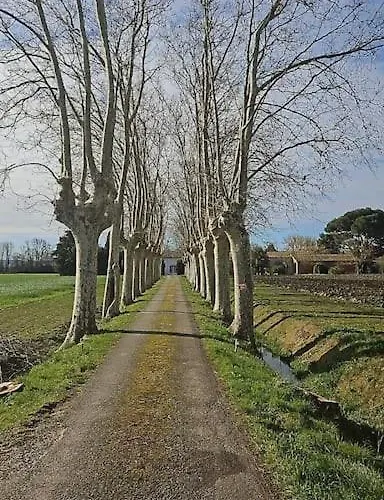 - Canal Du Midi